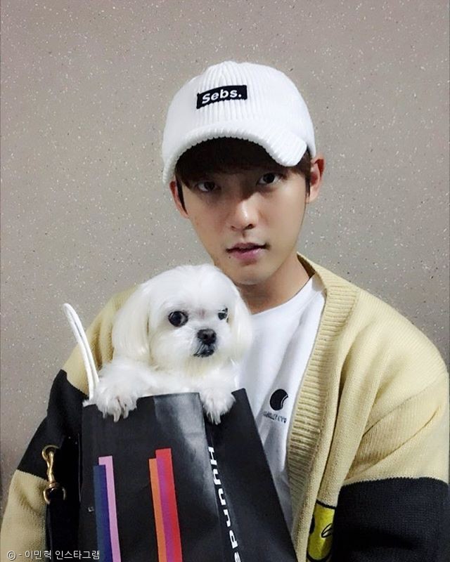 노트펫
