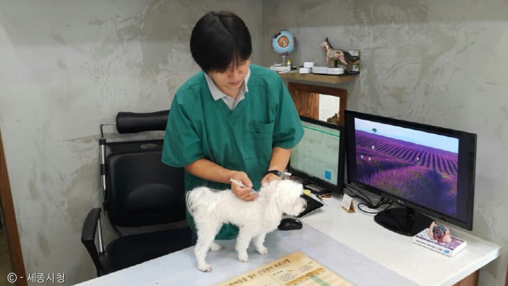 노트펫