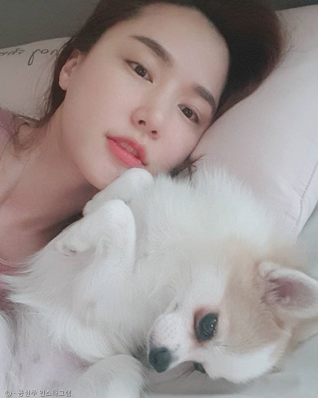 노트펫