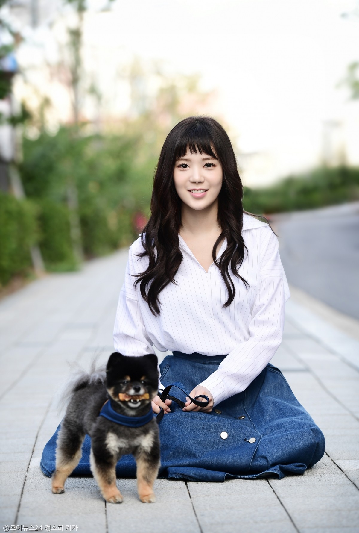 노트펫