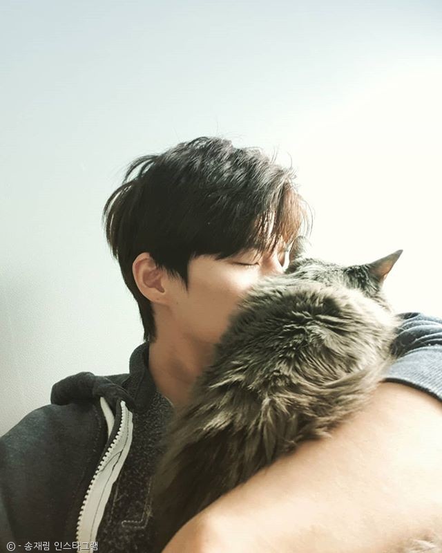 노트펫