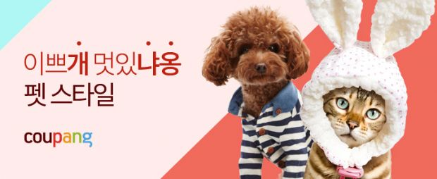노트펫