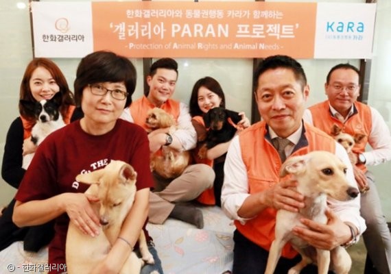 노트펫