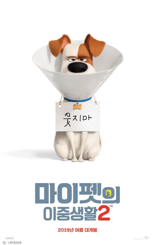 노트펫