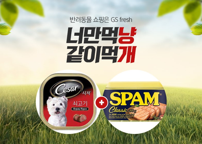 노트펫