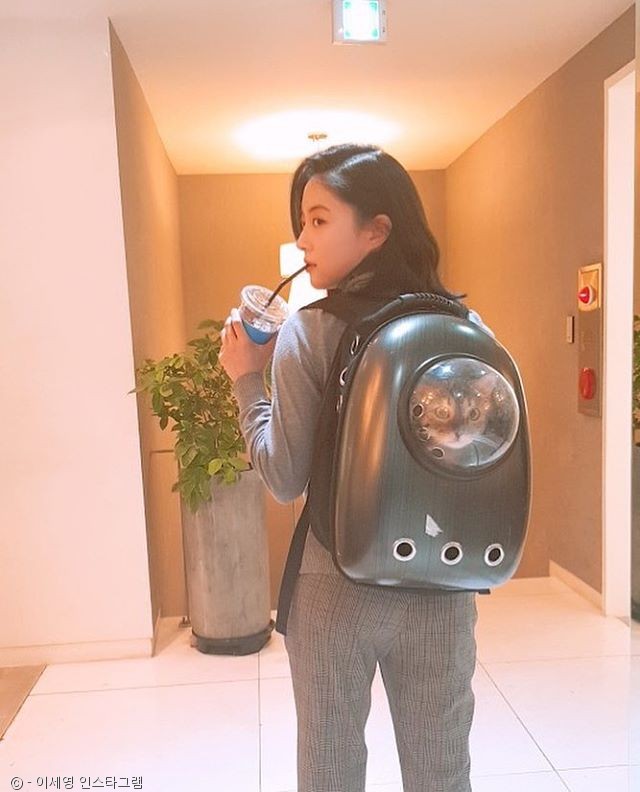 노트펫