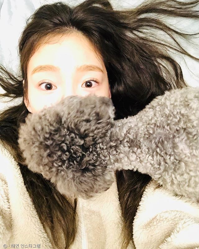 노트펫