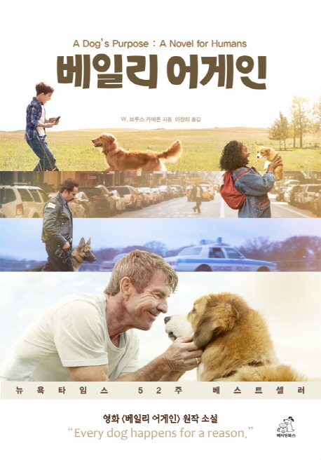 노트펫