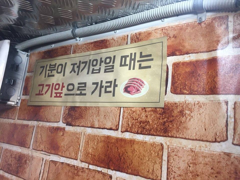 노트펫