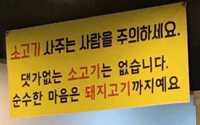 노트펫