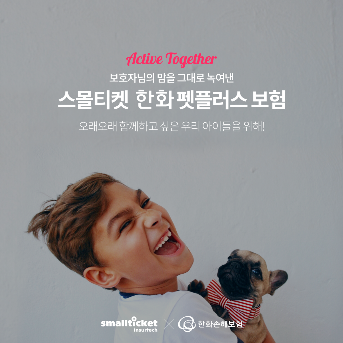 노트펫