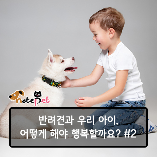 노트펫