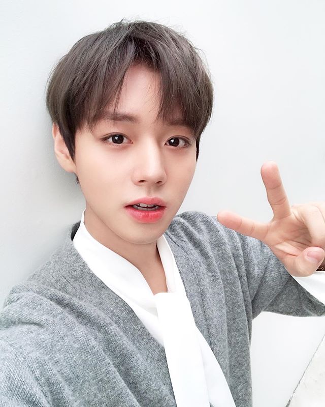 노트펫