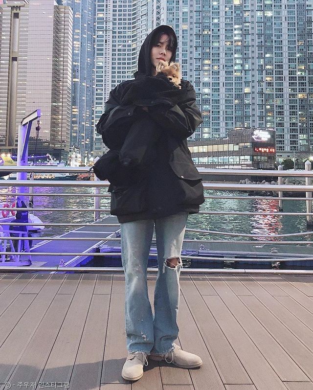 노트펫