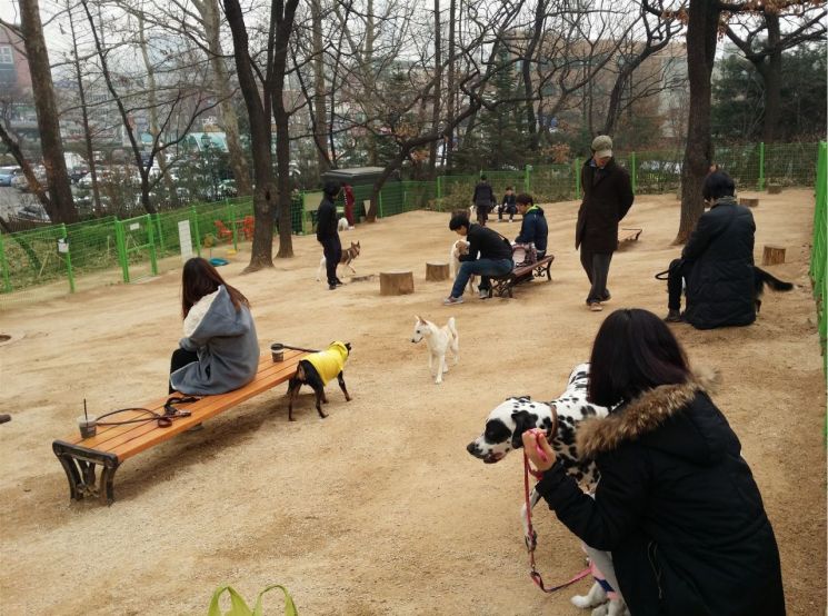 노트펫