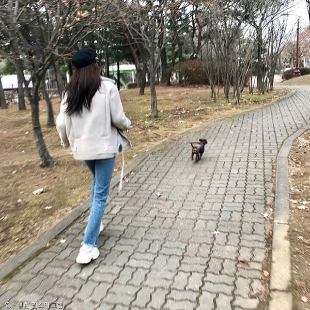 노트펫