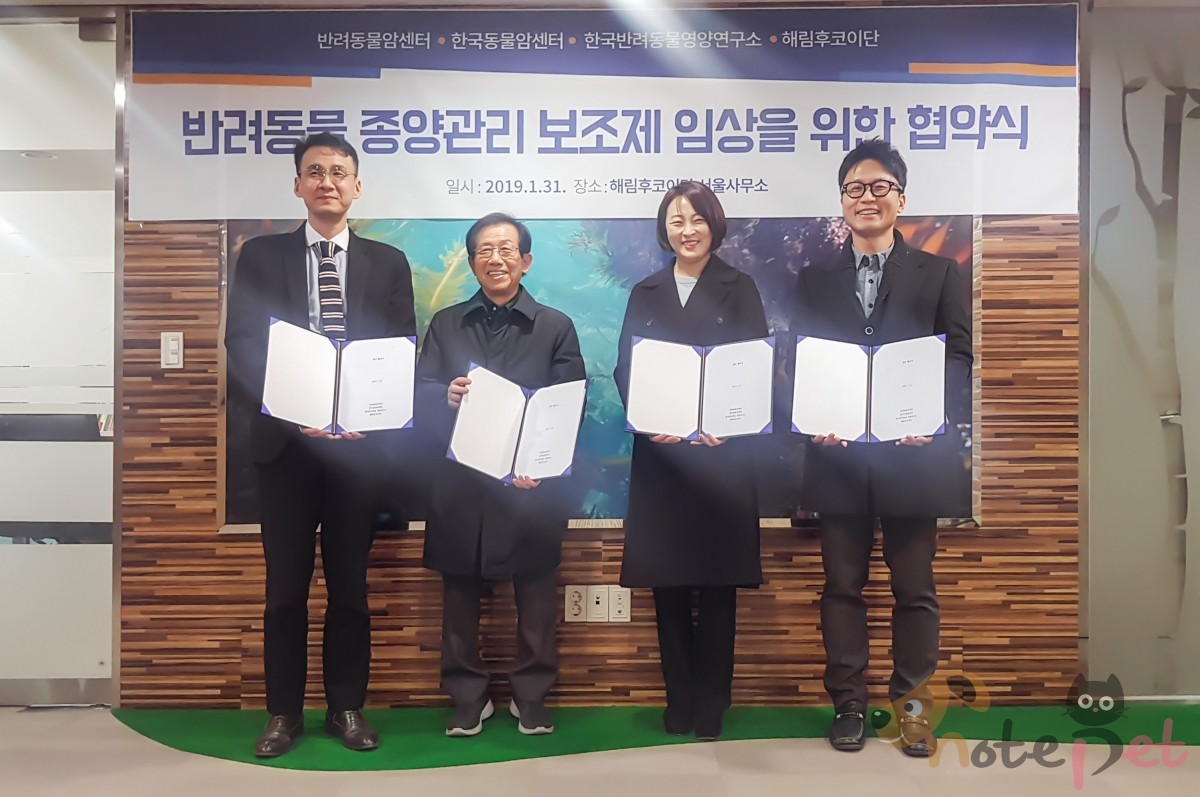 노트펫