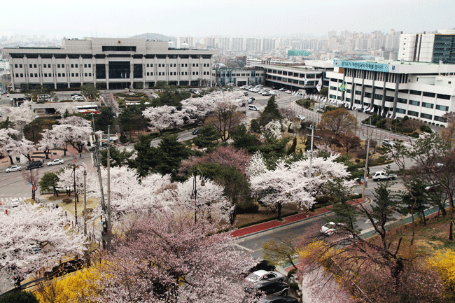 노트펫