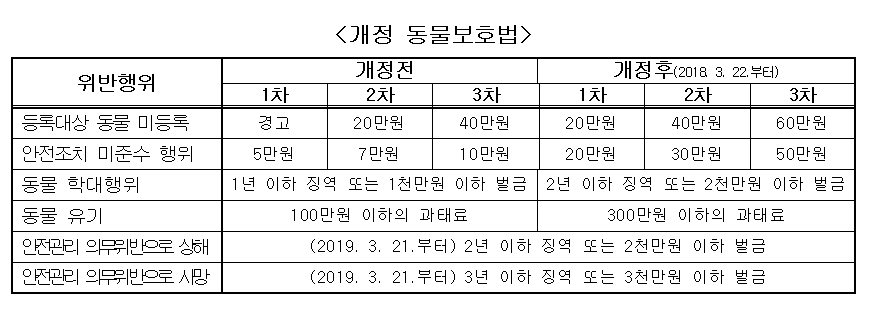 노트펫