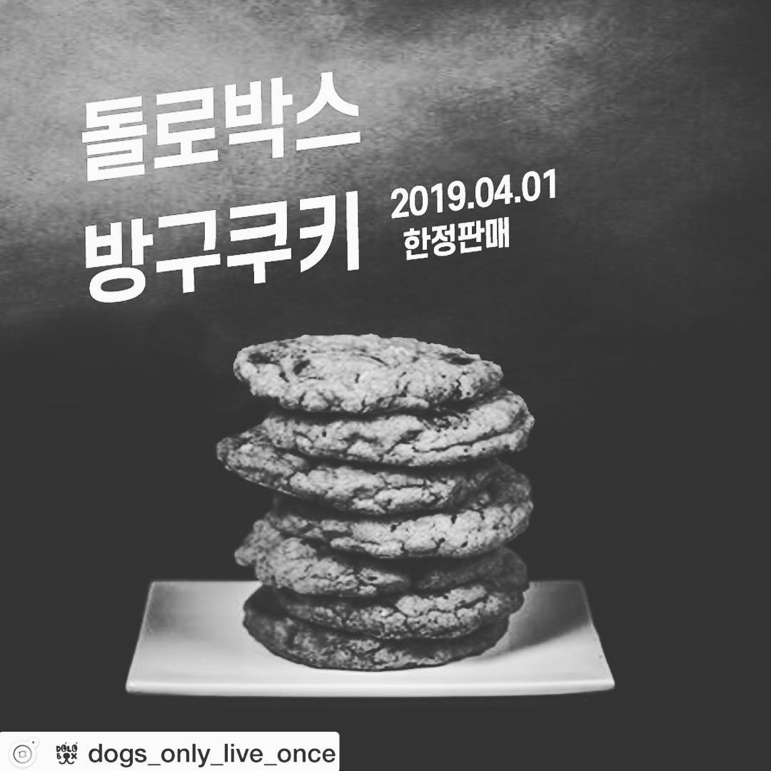 노트펫