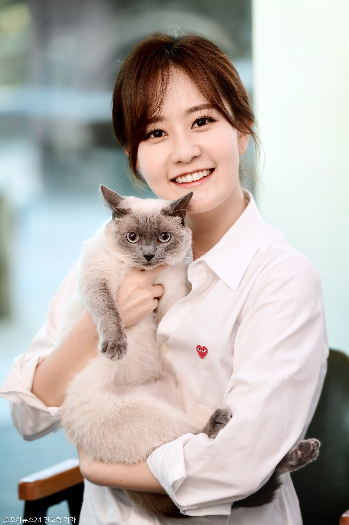 노트펫