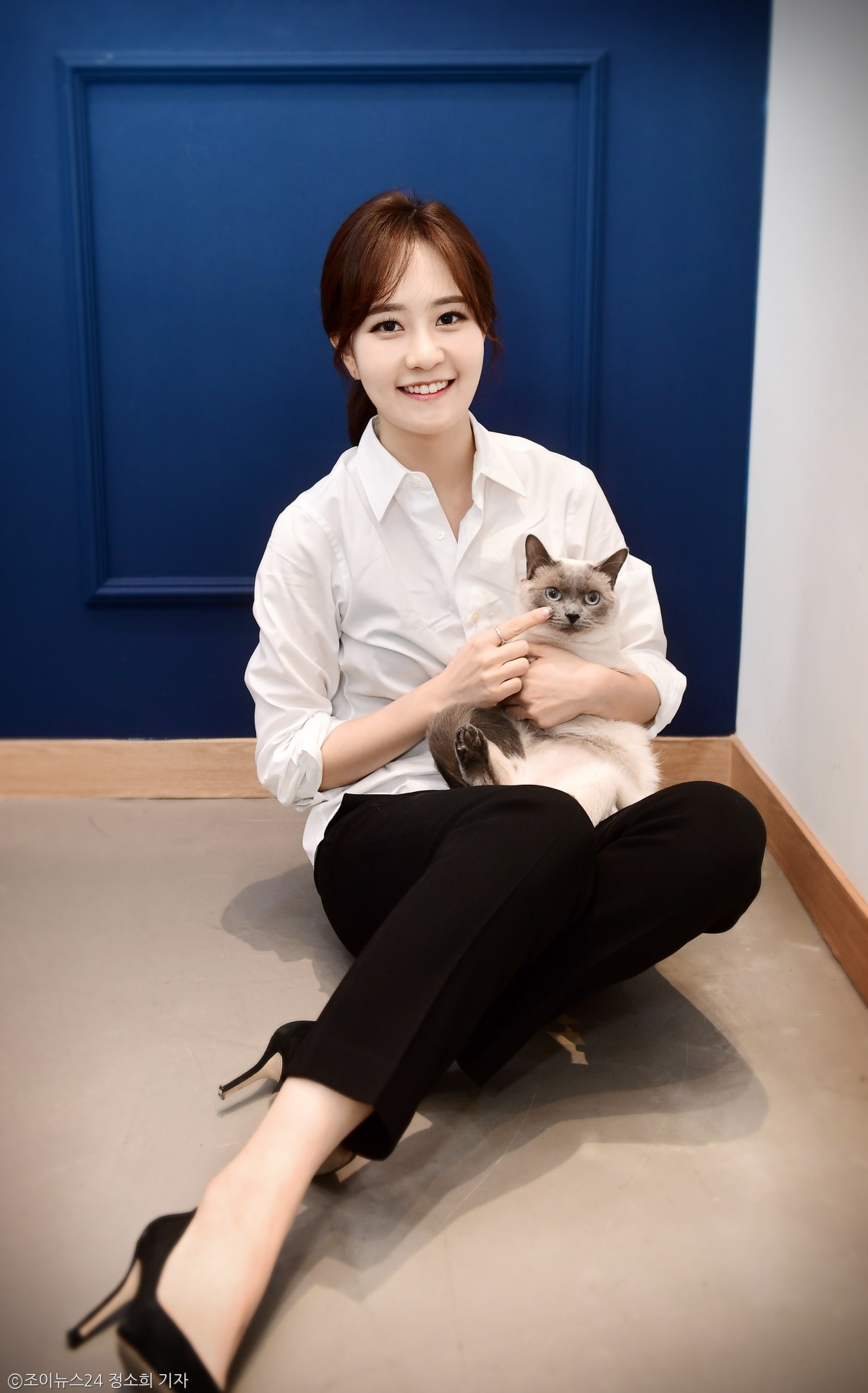 노트펫