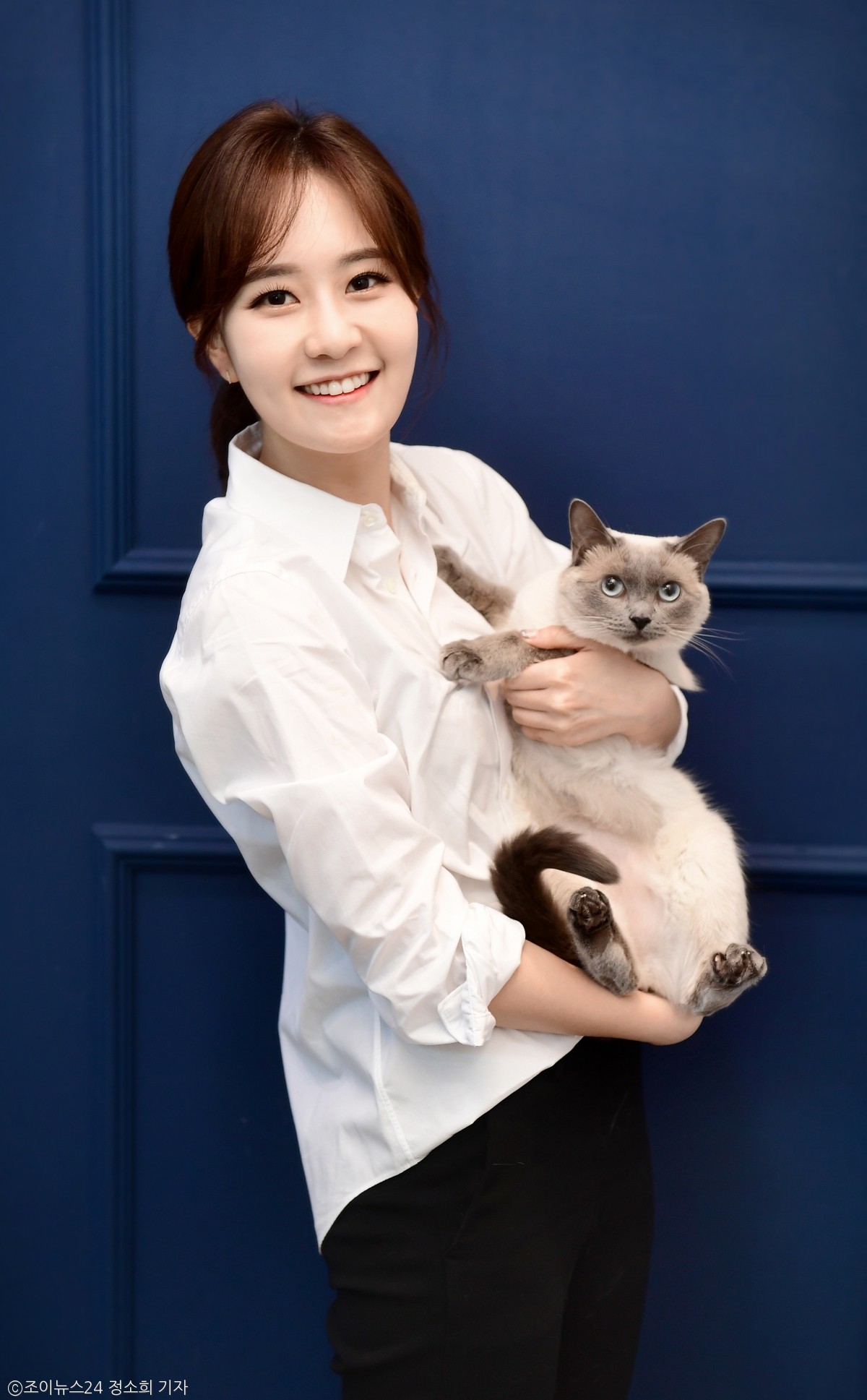 노트펫