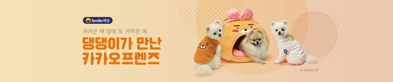 노트펫