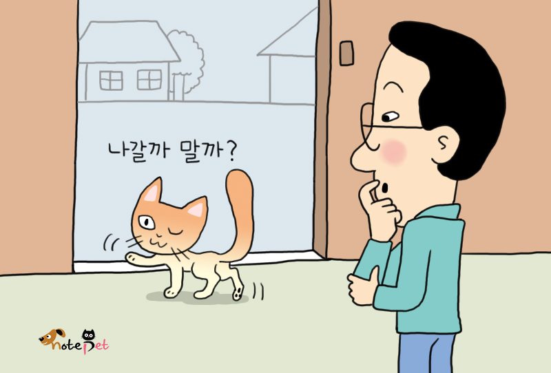 노트펫