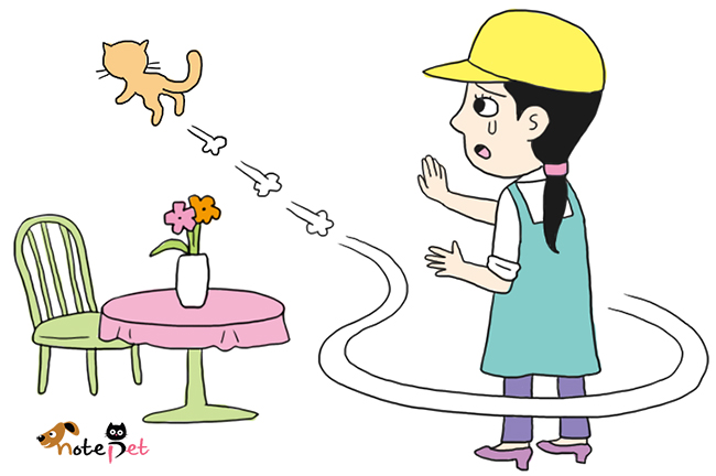 노트펫