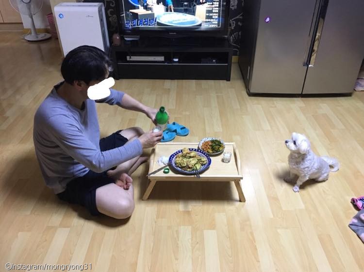 노트펫