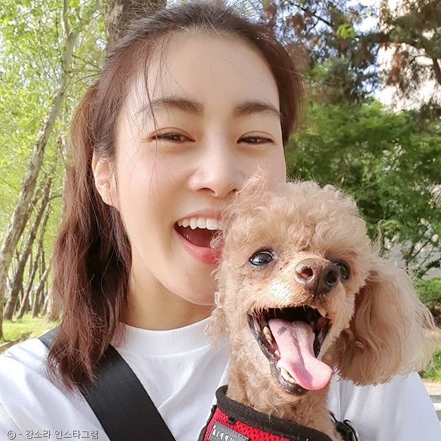 노트펫