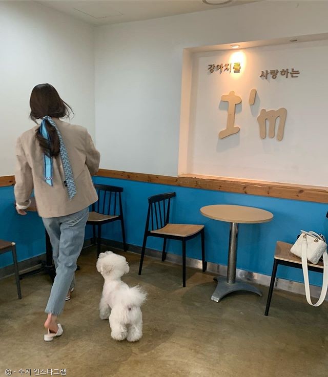 노트펫