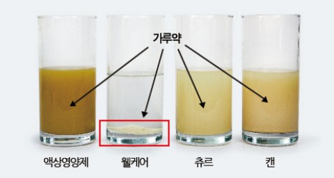 노트펫