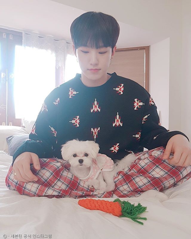 노트펫