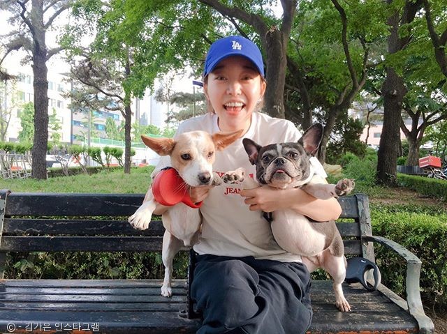 노트펫
