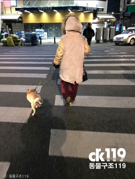 노트펫