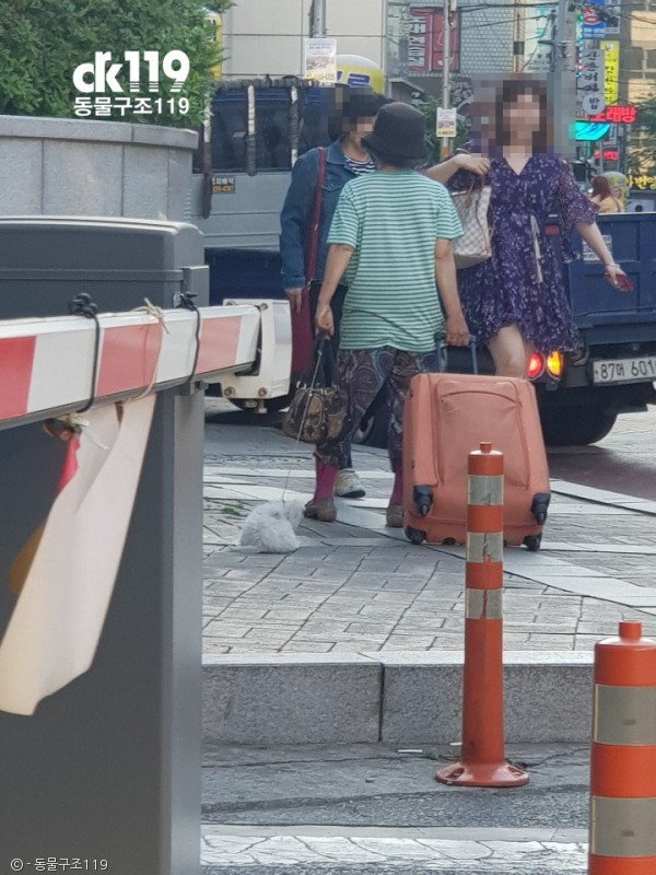 노트펫