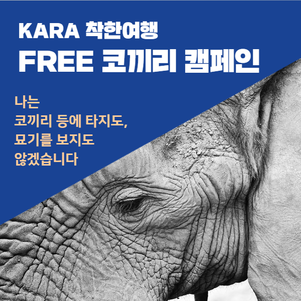 노트펫