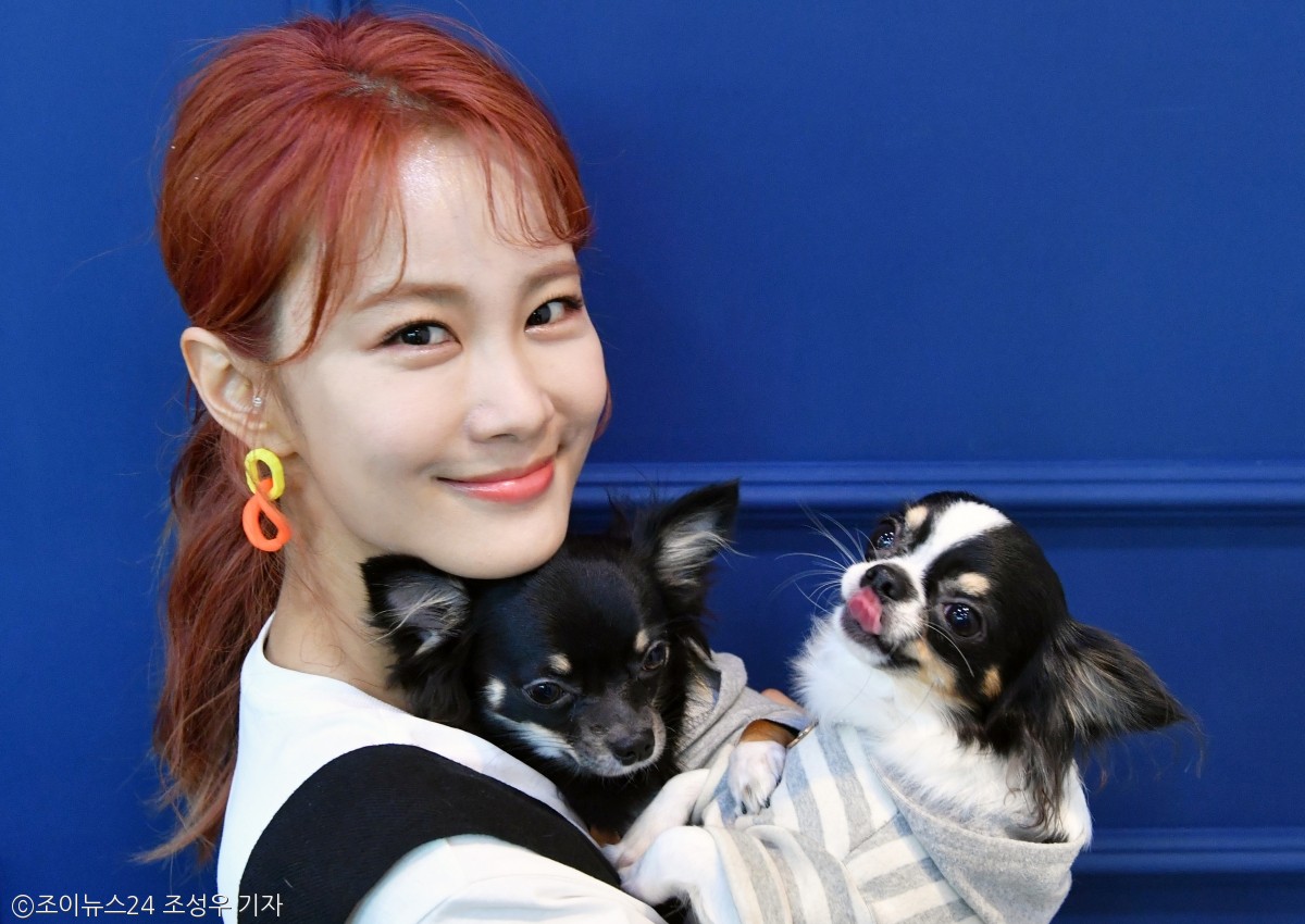 노트펫
