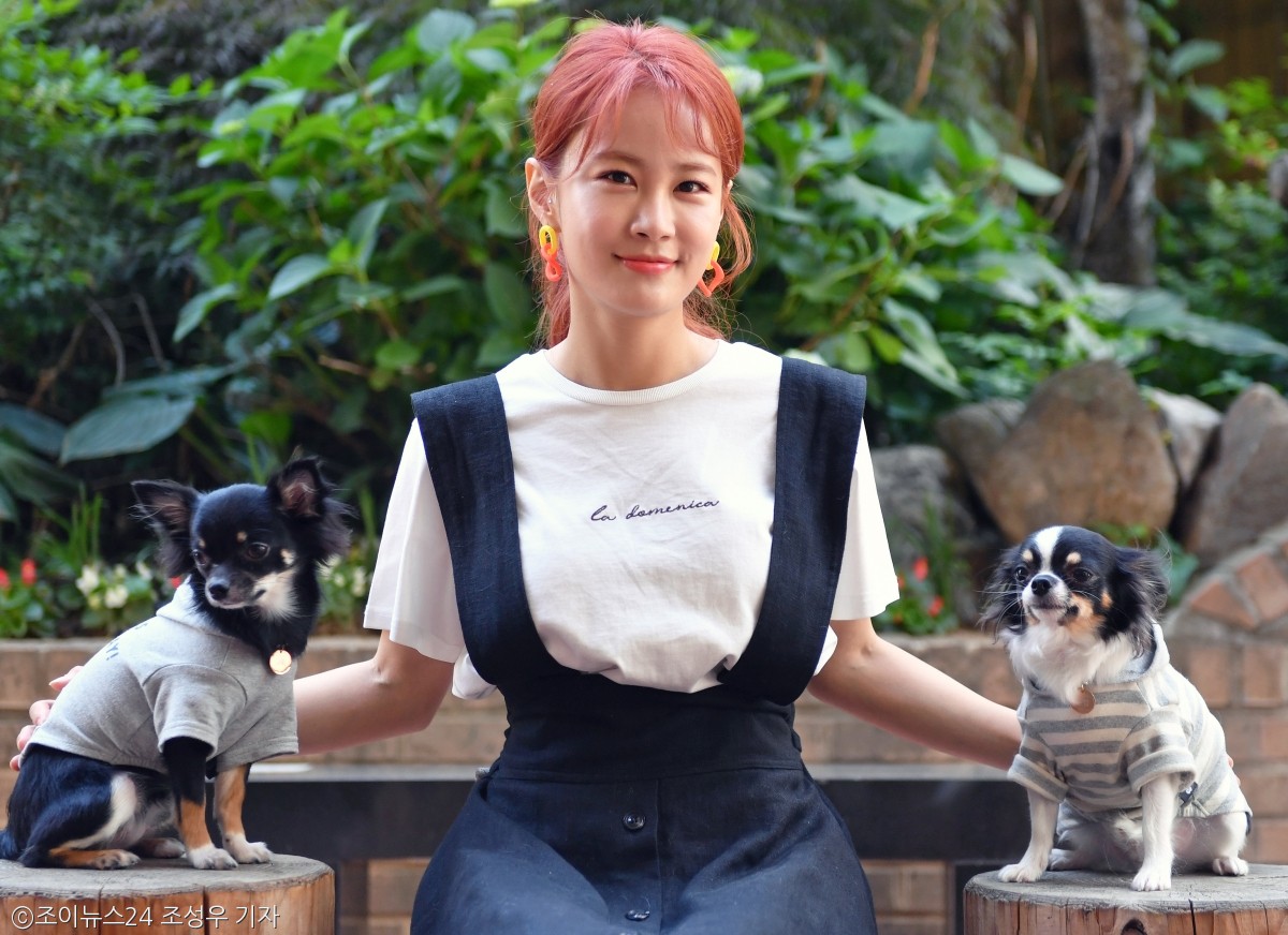 노트펫
