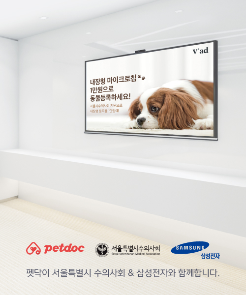 노트펫