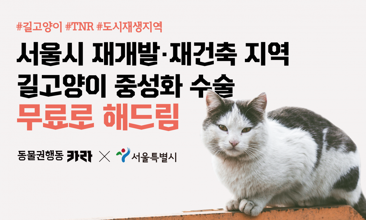 노트펫