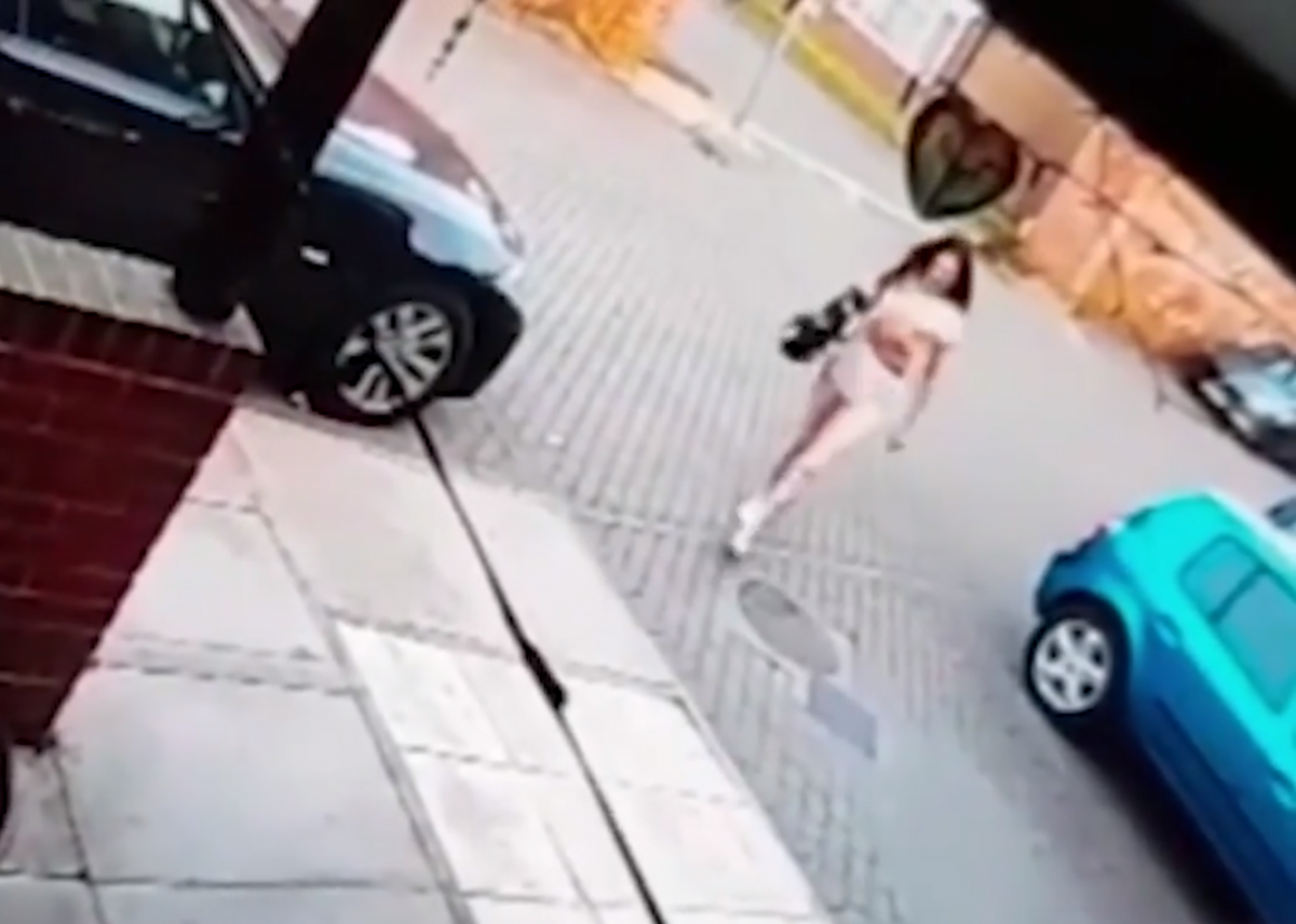 노트펫