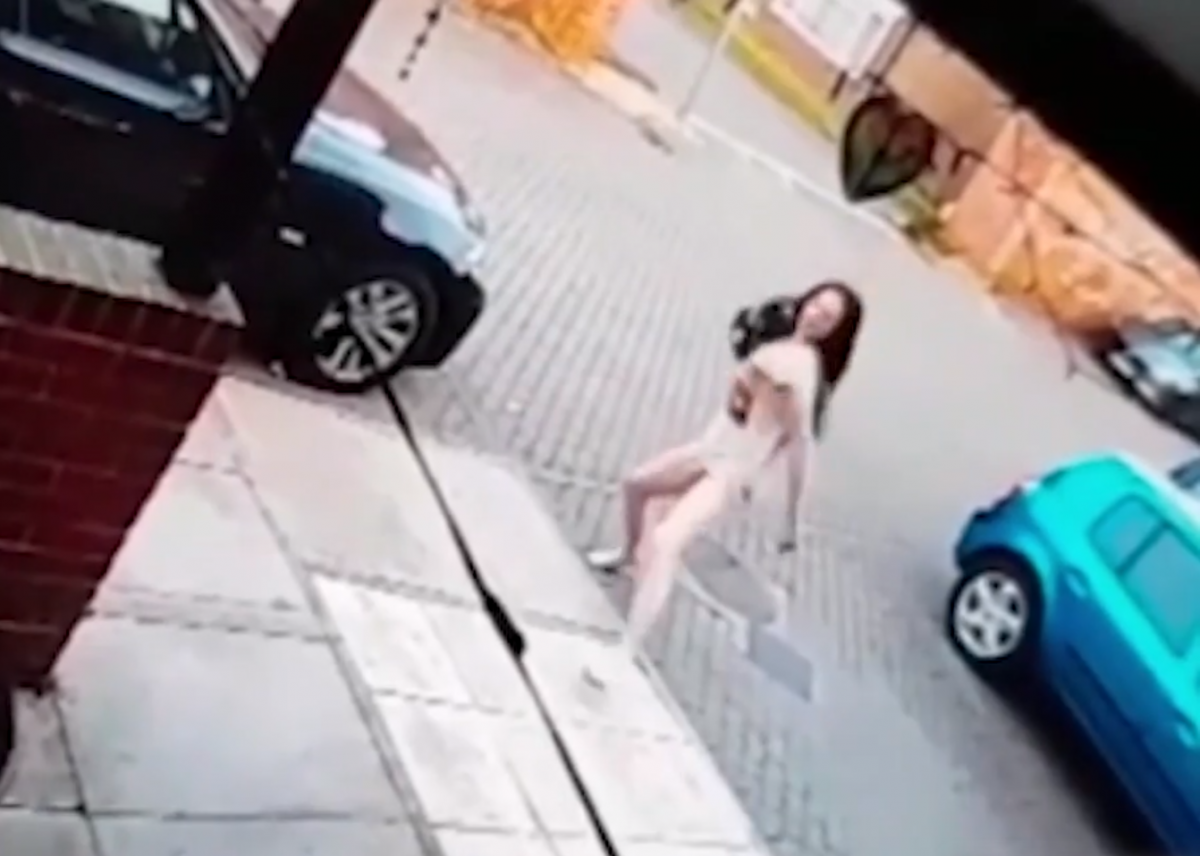 노트펫