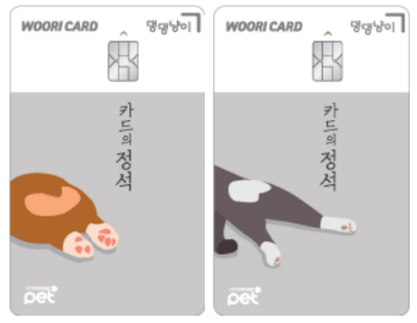 노트펫