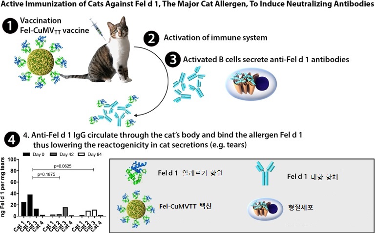 노트펫