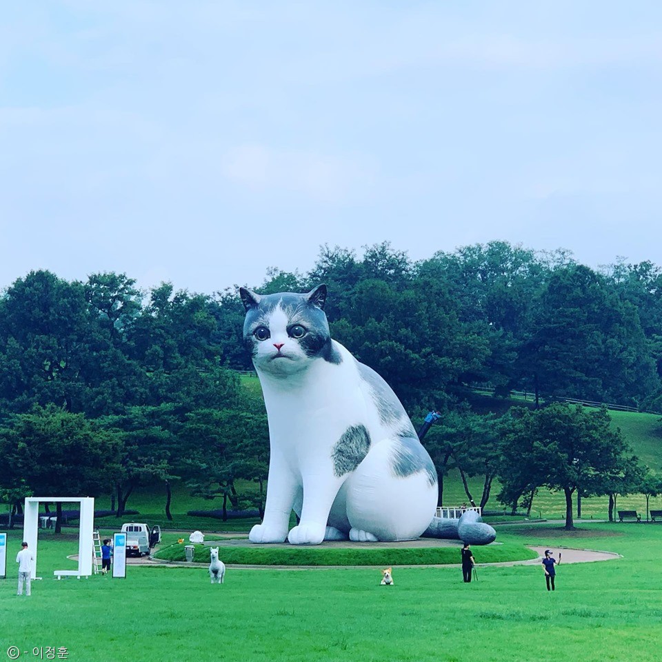 노트펫