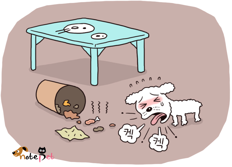 노트펫