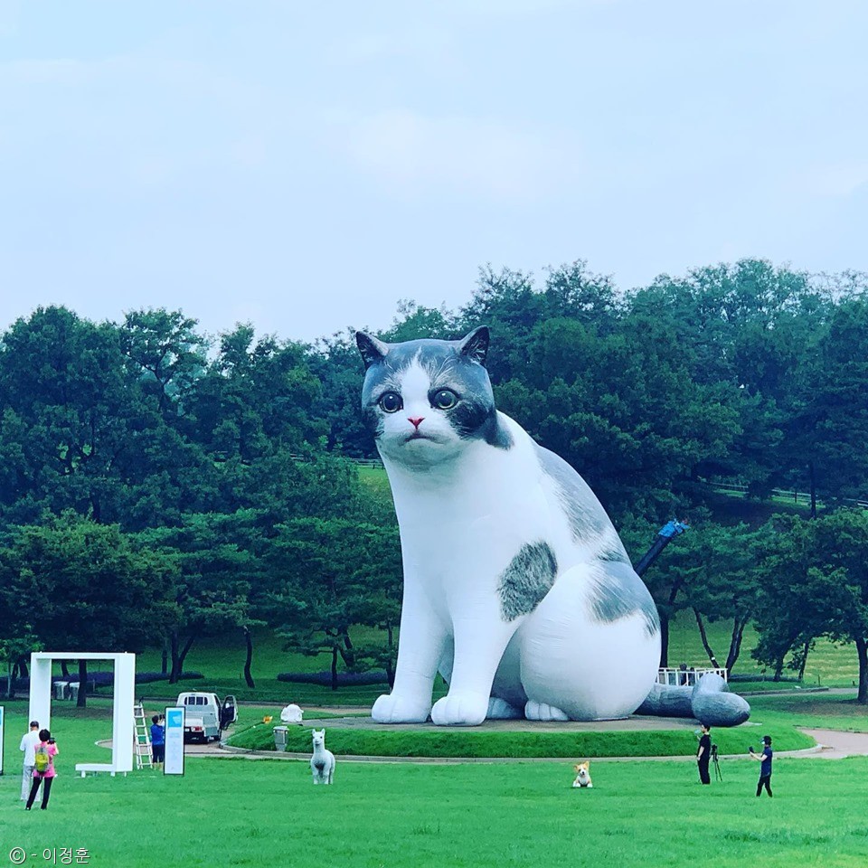 노트펫